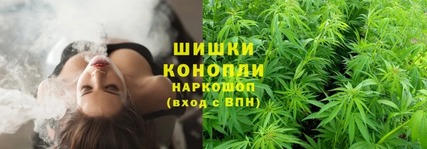 твердый Медвежьегорск